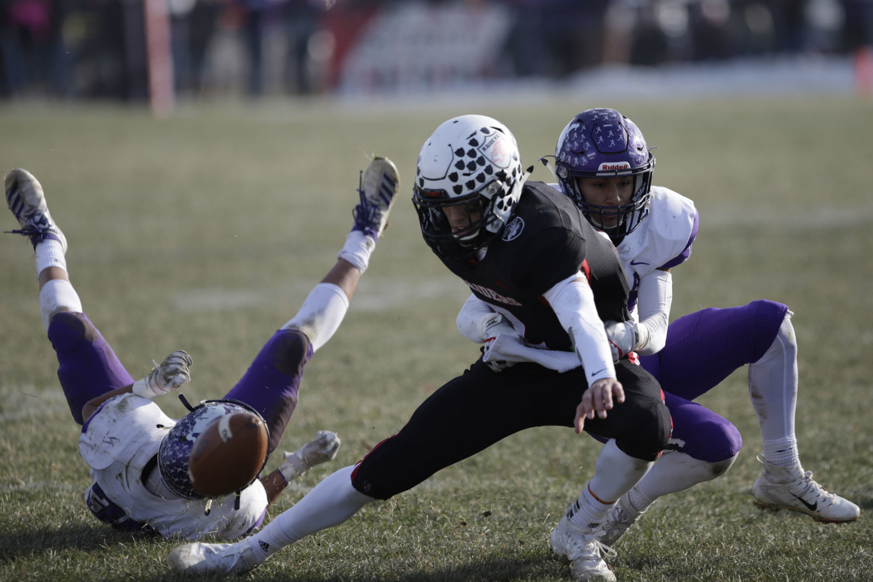 GALLERY-CAM-V-ARCOLA-22-111719.JPG